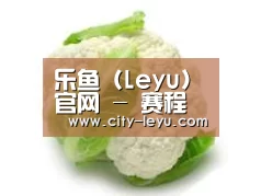 产品名称九