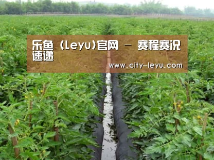 种植基地三