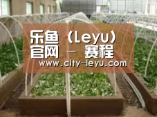 环境展示五