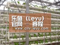 环境展示六