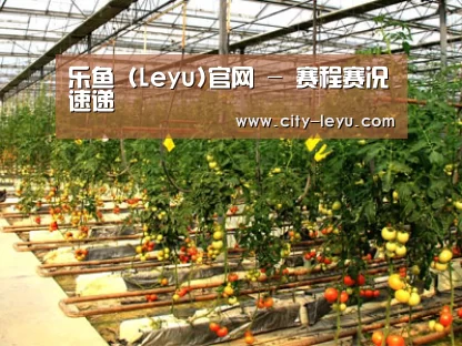 种植基地二(图1)