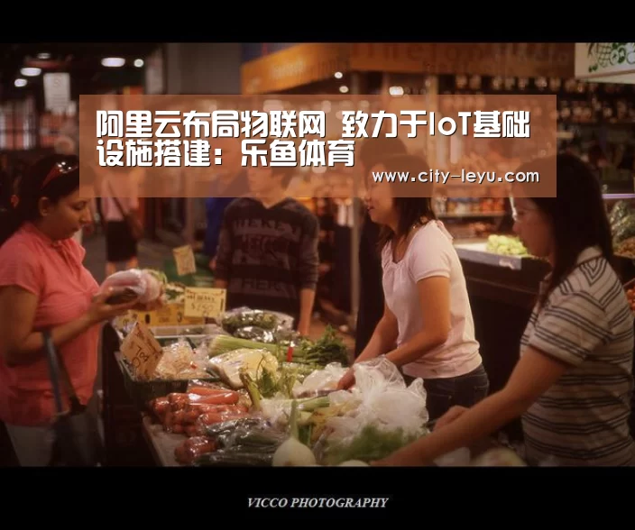 阿里云布局物联网 致力于IoT基础设施搭建:乐鱼体育(图3) 阿里云布局物联网 致力于IoT基础设施搭建:乐鱼体育(图3)