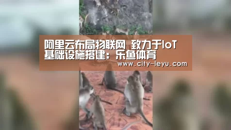 阿里云布局物联网 致力于IoT基础设施搭建:乐鱼体育(图4) 阿里云布局物联网 致力于IoT基础设施搭建:乐鱼体育(图4)
