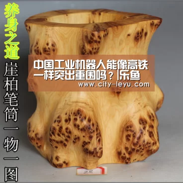 中国工业机器人能像高铁一样突出重围吗?|乐鱼(图2) 乐鱼体育