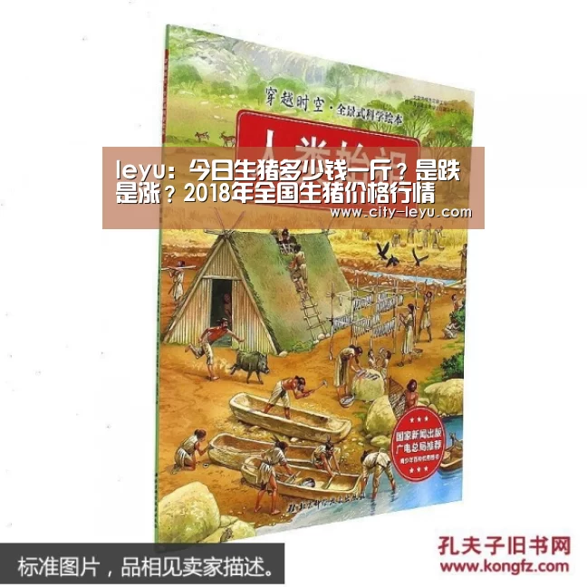 乐鱼体育